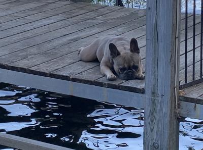 Img 0373
